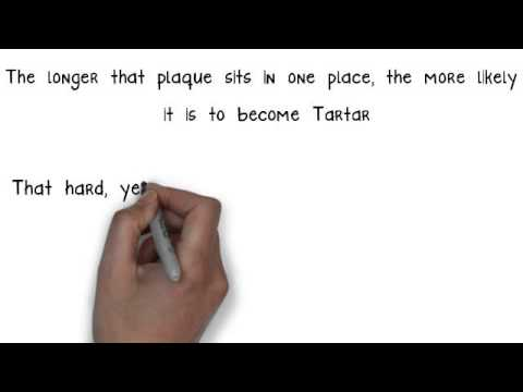 Watch the video: Do You Forget to Brush Your Teeth at Night?